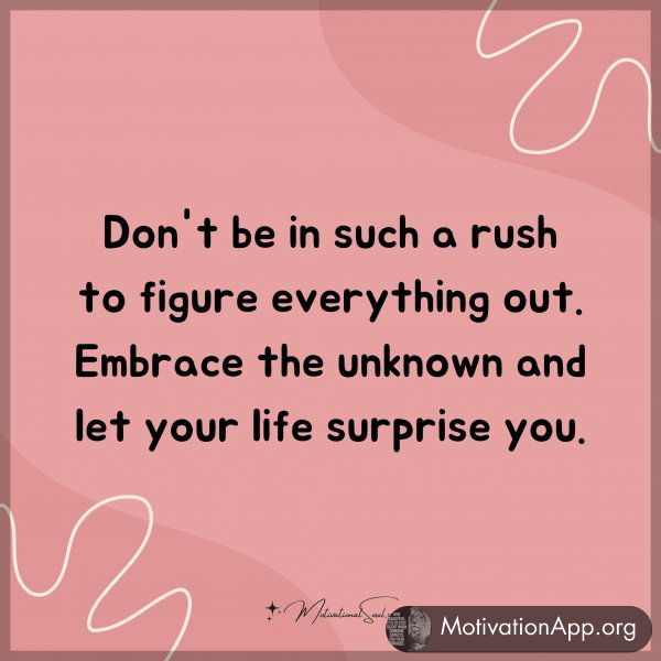 Don't be in such a rush to figure everything out. Embrace the unknown and let your life surprise you.