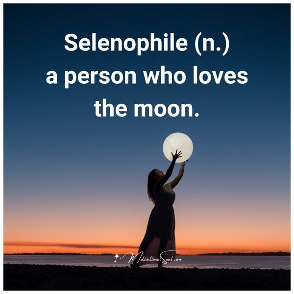 Quote: Selenophile (n.)
a person who
loves the moon.
