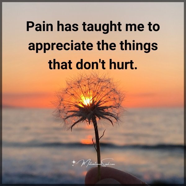 Quote: Pain has
taught me to
appreciate the
things that