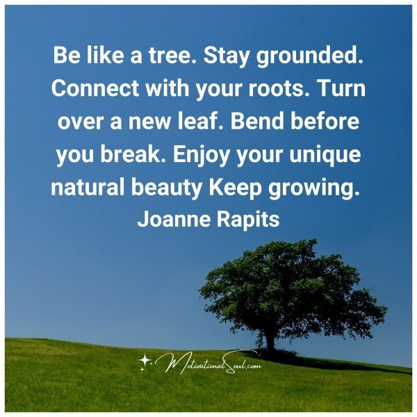 Quote: Be like a tree.
Stay grounded.
Connect with your
