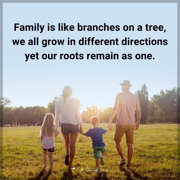 Family is like branches on a tree