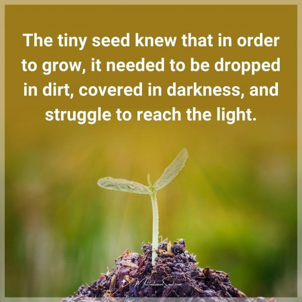 The tiny seed knew that in order to grow