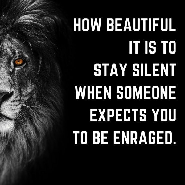 How beautiful it is to stay silent when someone expects you to be enraged. True or not?