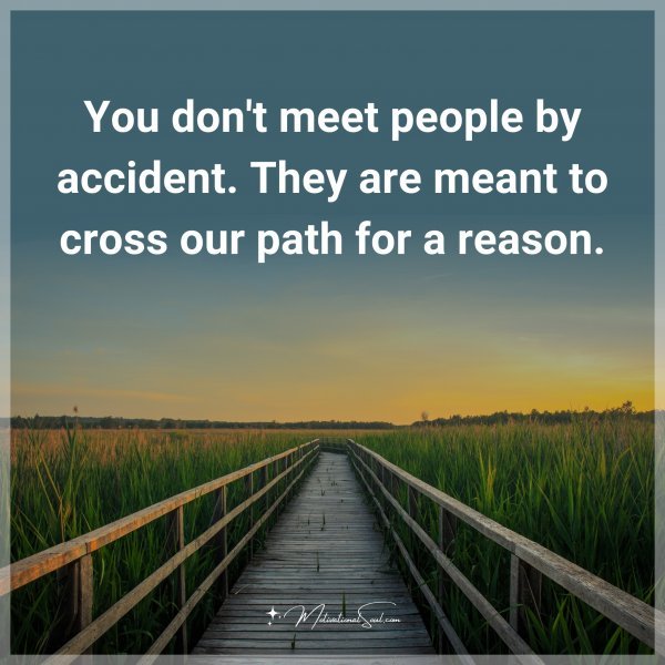 You don't meet people by accident. They are meant to cross our path for a reason. Type "Yes" if you agree.