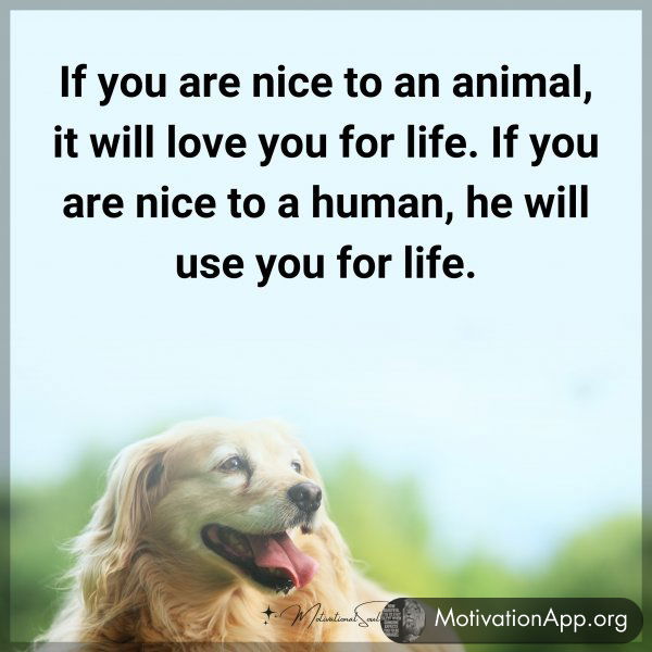 If you are nice to an animal