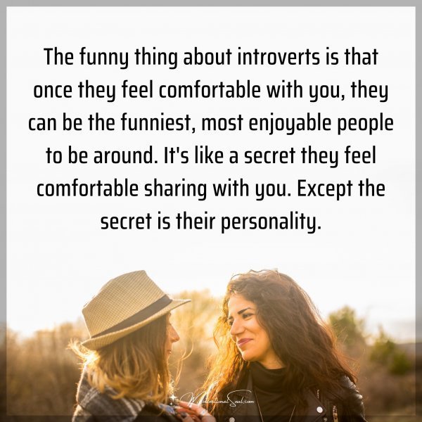 Quote: The funny thing about introverts is that once they feel comfortable