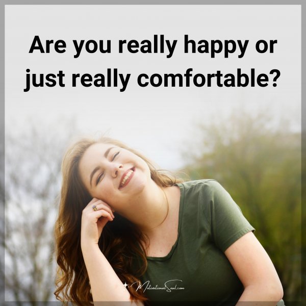 Quote: Are you really happy or just really comfortable?