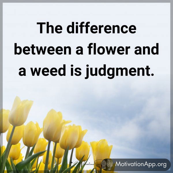 The difference between a flower and a weed is judgment.