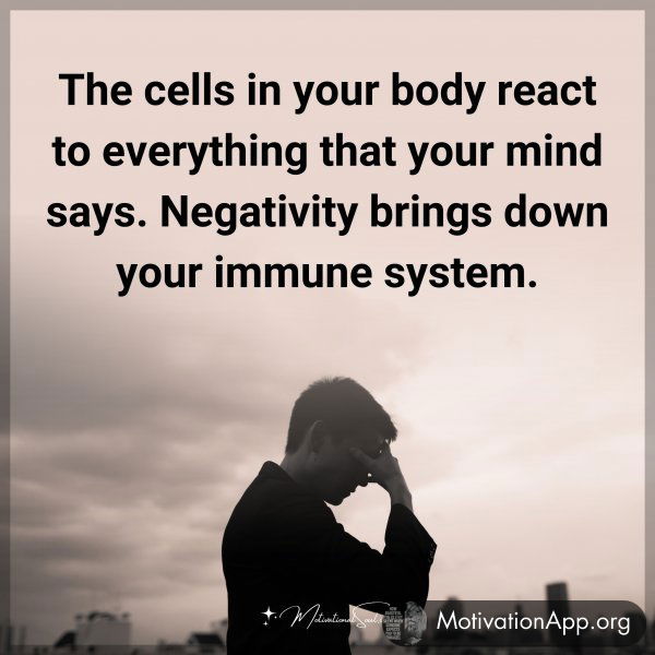 The cells in your body react to everything that your mind says. Negativity brings down your immune system.