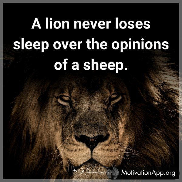 A lion never loses sleep over the opinions of a sheep.