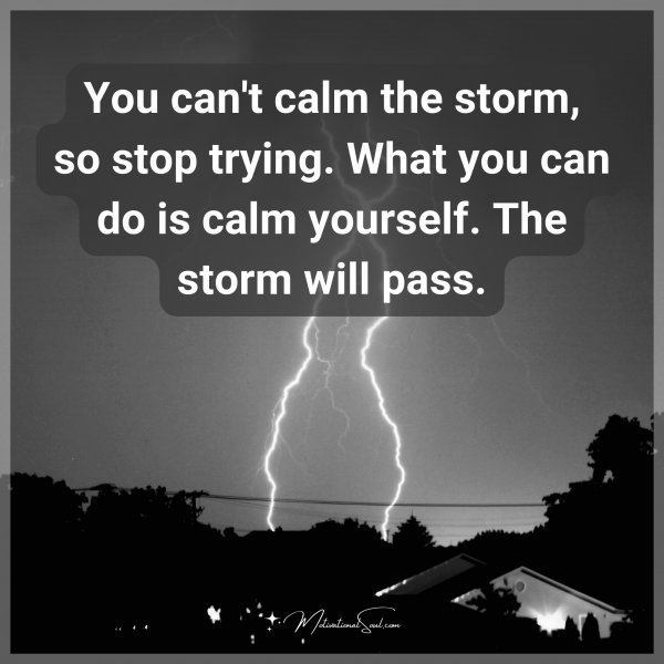 Quote: You can’t calm the storm, so stop trying. What you can do is