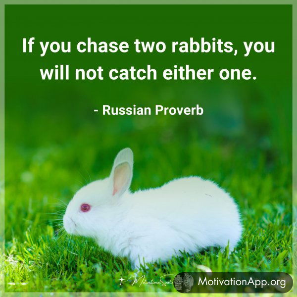 If you chase two rabbits