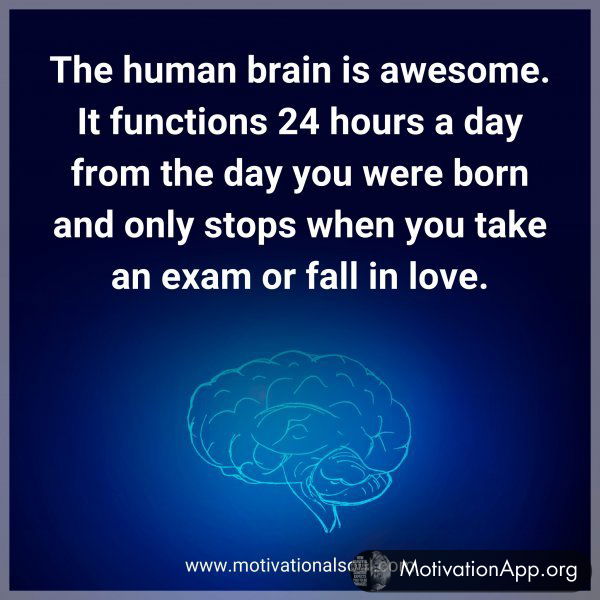 The human brain is awesome. It functions 24 hours a day from the day you were born and only stops when you take an exam or fall in love.