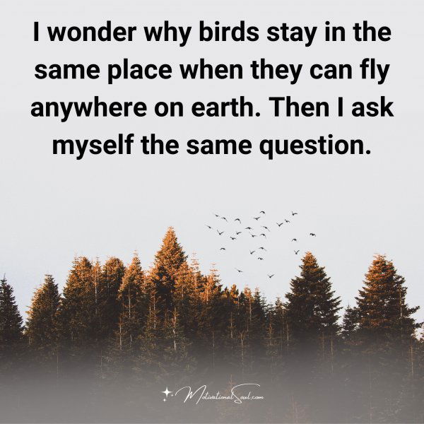 I wonder