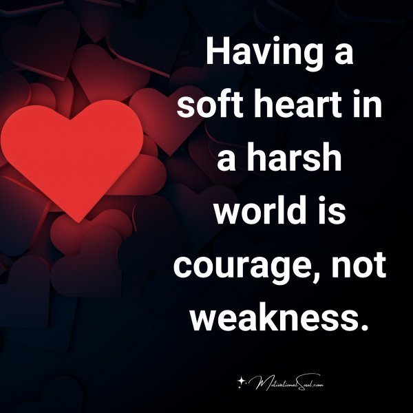 Quote: Having
a soft heart in
a harsh world
is courage,