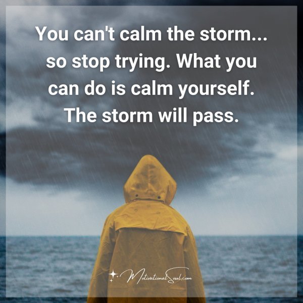 Quote: You can’t calm
the storm… so stop
trying. What you