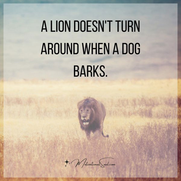 A LION DOESN'T TURN AROUND