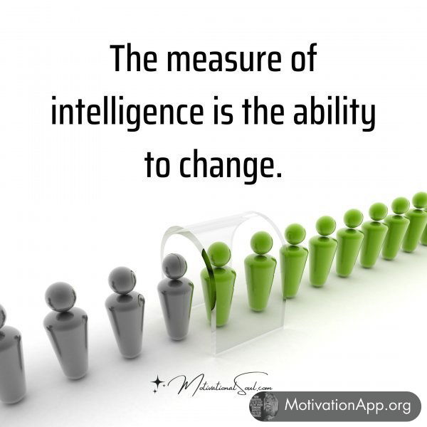 The measure of intelligence