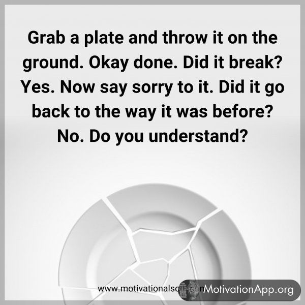 Grab a plate and throw it on the ground. Okay done. Did it break? Yes. Now say sorry to it. Did it go back to the way it was before? No. Do you understand?