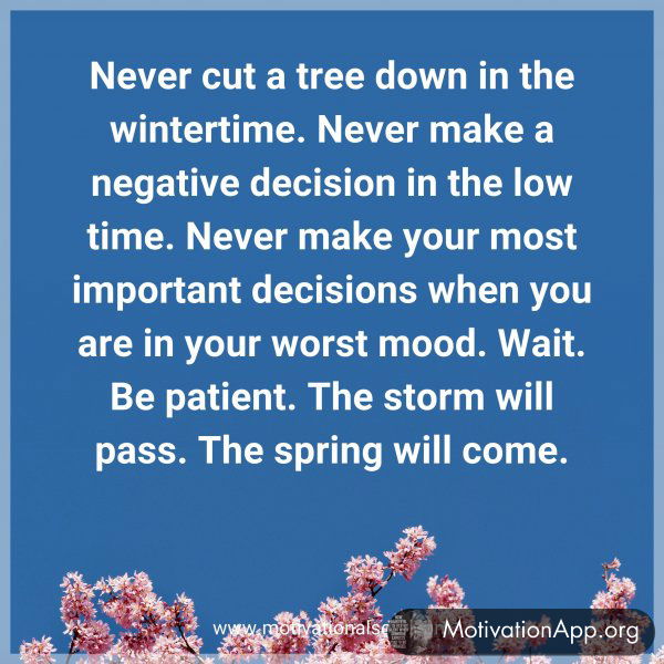 Never cut a tree down in the wintertime. Never make a negative decision in the low time. Never make your most important decisions when you are in your worst mood. Wait. Be patient. The storm will pass. The spring will come.