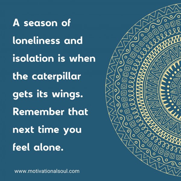 A season of loneliness and isolation is when the caterpillar gets its wings. Remember that next time you feel alone.