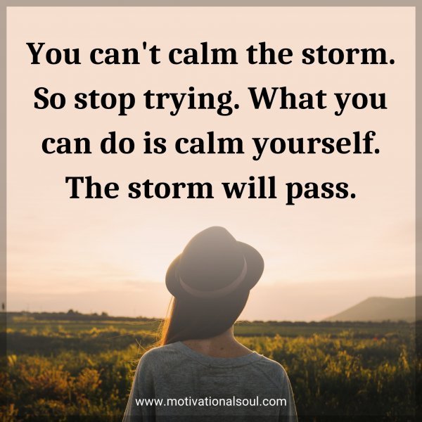 You can't calm the storm. So stop trying. What you can do is calm yourself. The storm will pass.