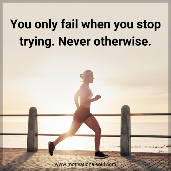 You only fail when you stop trying. Never otherwise.