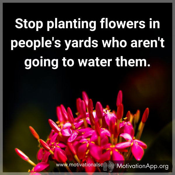 Stop planting flowers in people's yards who aren't going to water them.