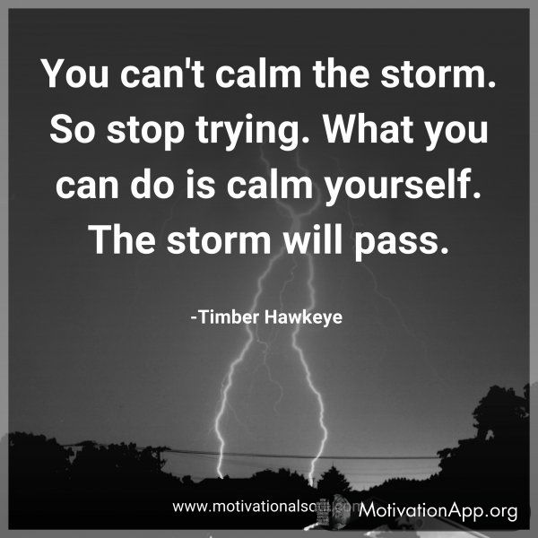 You can't calm the storm. So stop trying. What you can do is calm yourself. The storm will pass. -Timber Hawkeye