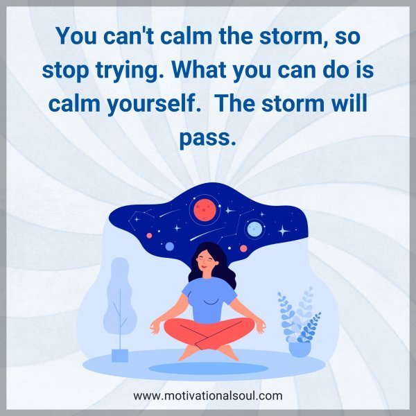 Quote: You can’t calm the storm,
so stop trying. What you