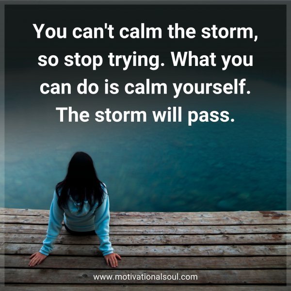 Quote: You can’t calm the storm,
so stop trying. What you