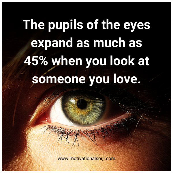 The pupils of the eyes